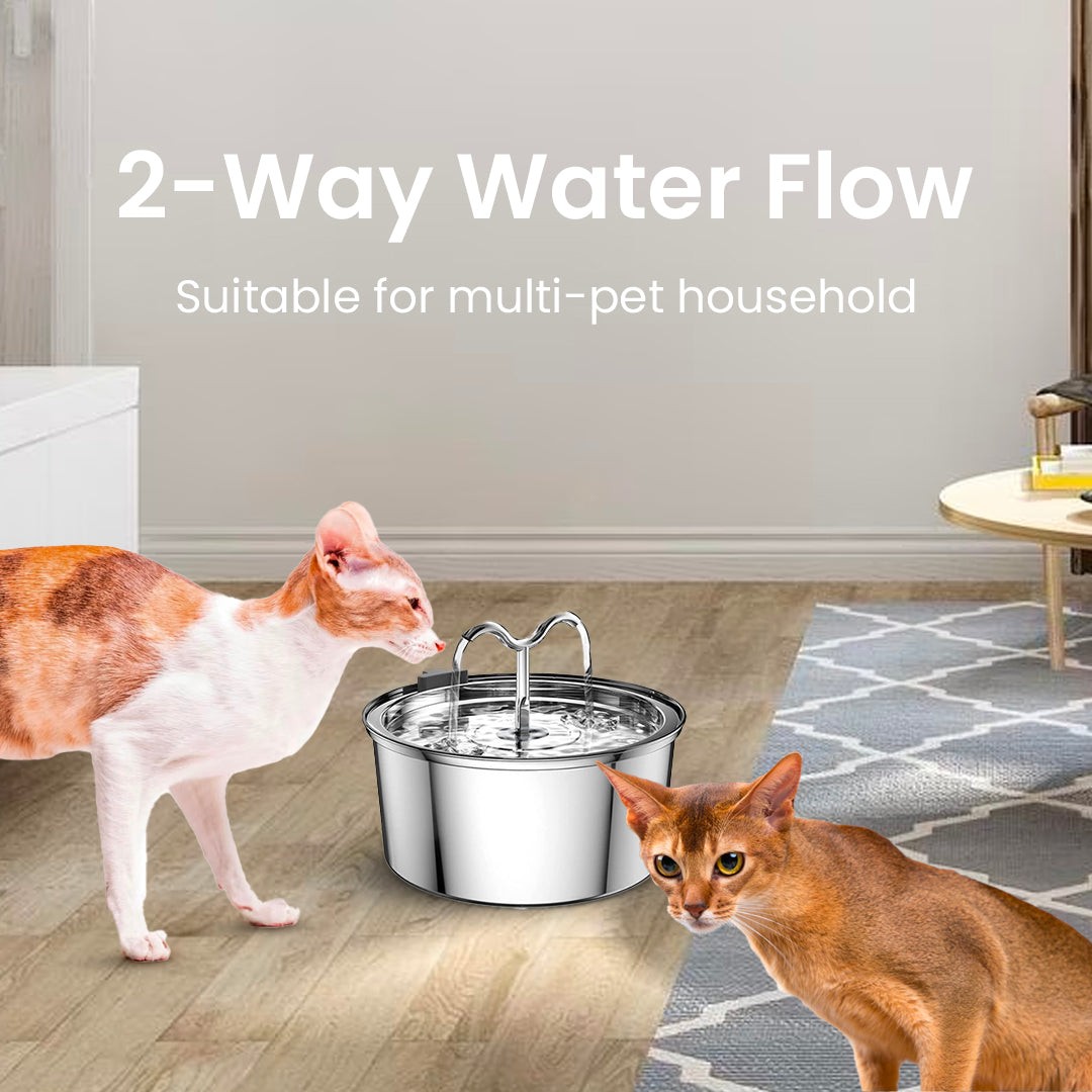 The KittySpout™ TwinFlow Fountain