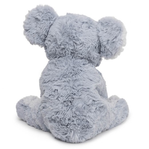 Cozys : Koala