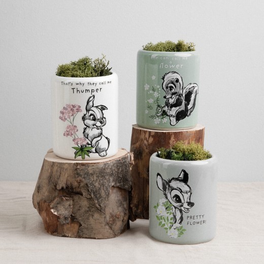 Disney Home : Forest Friends Set Of 3 Character Pots