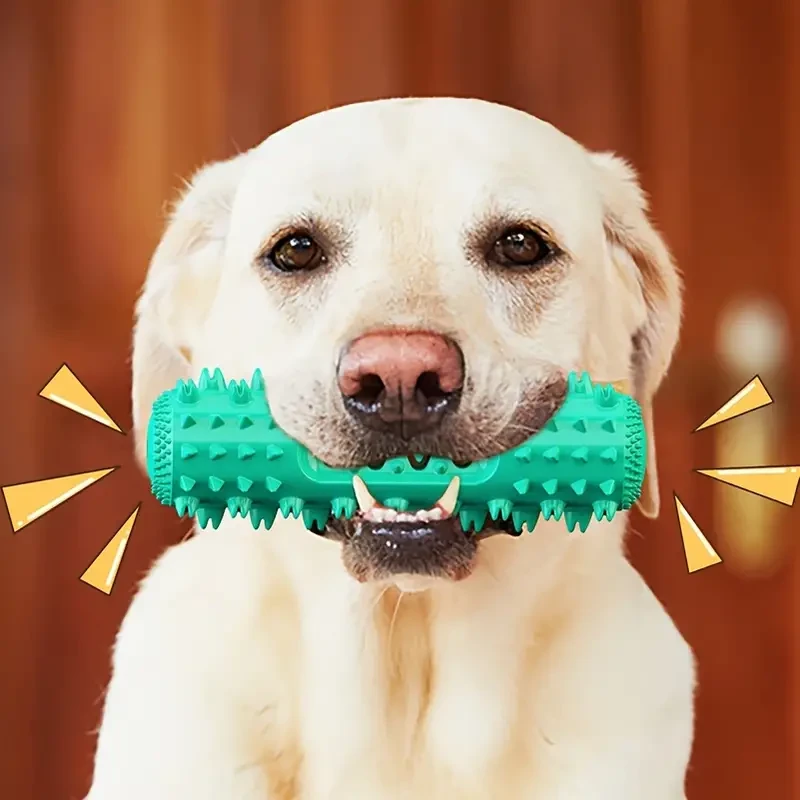 Durable Dog Toothbrush Molar Chew Stick