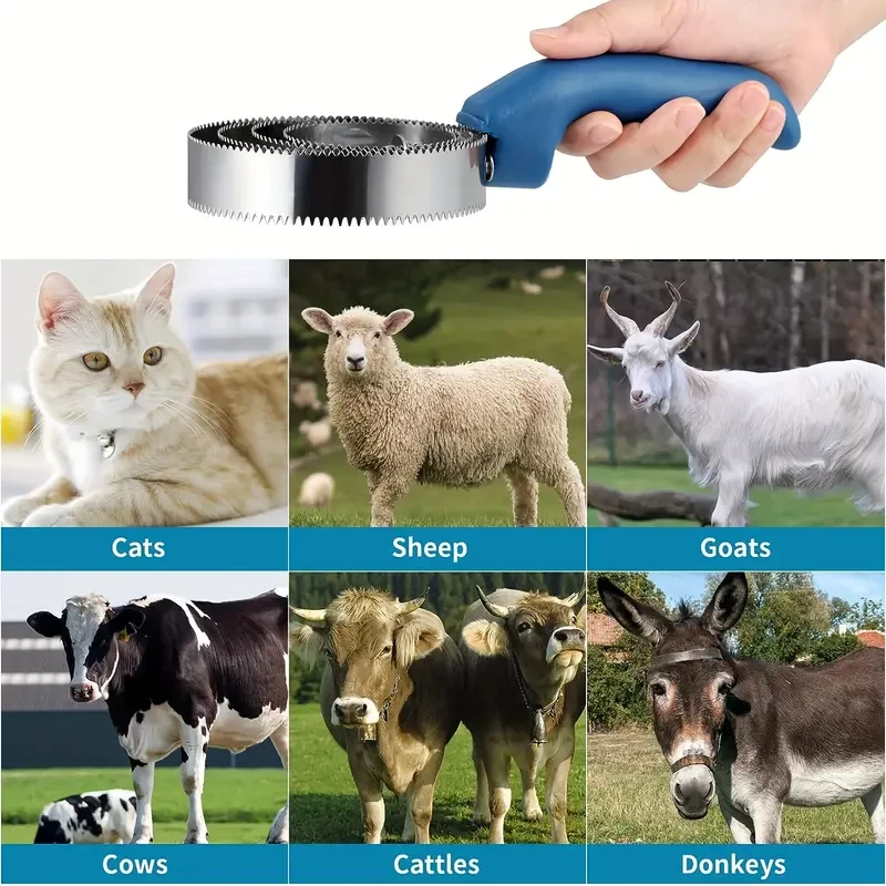 1pc Premium Reversible Stainless Steel Curry Comb