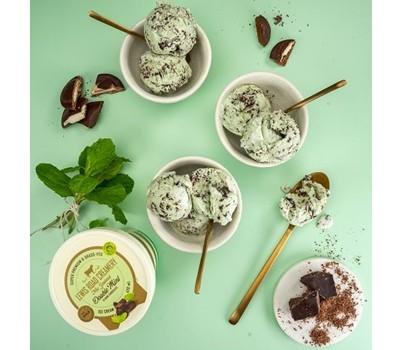 ICE CREAM DOUBLE MINT & DARK CHOOLATE 5L (LEWIS ROAD 657)