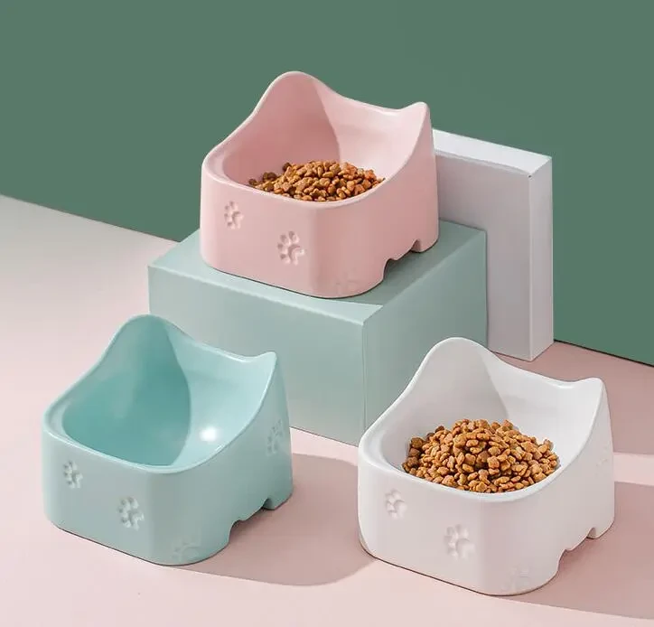 Ceramic bowl for pets