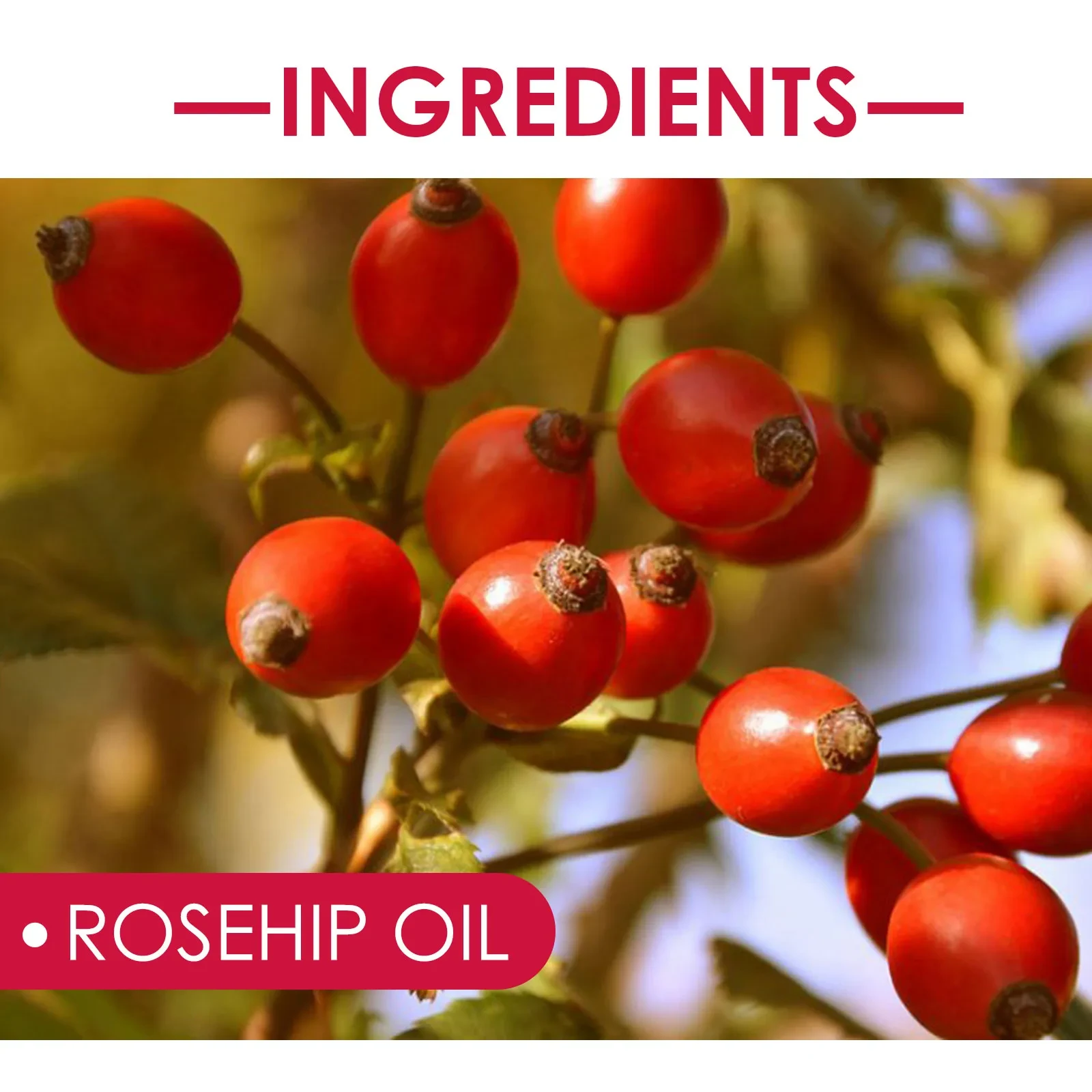 EELHOE Rosehip Facial Oil