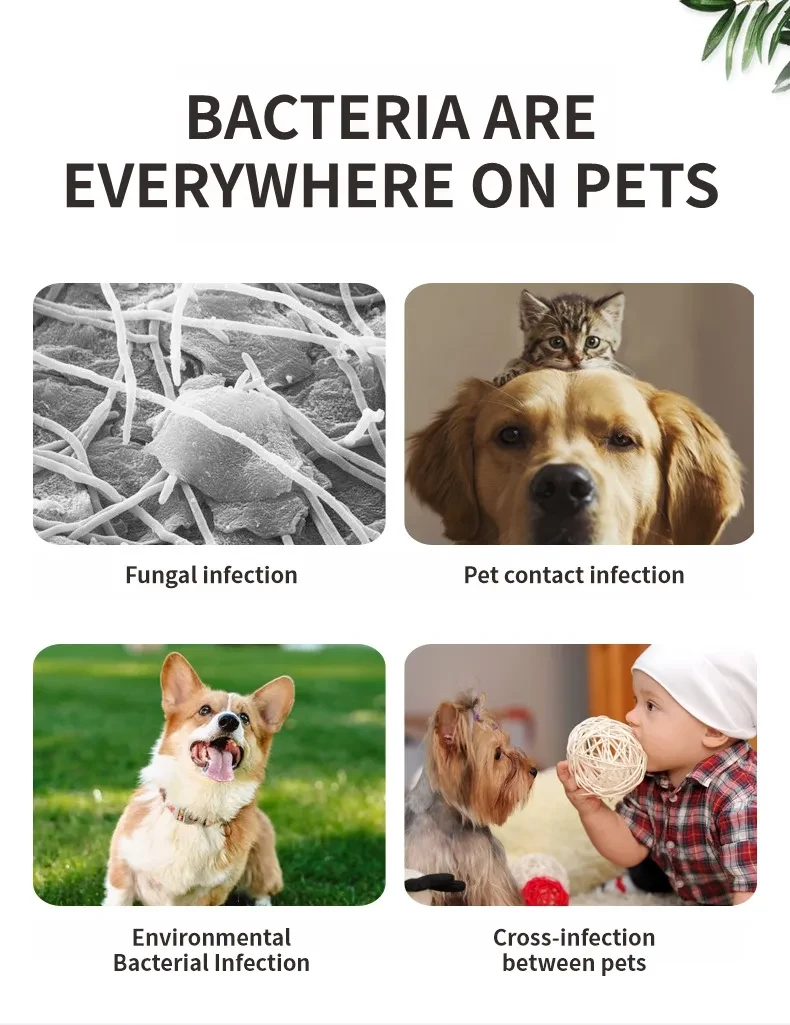 Pet Germicidal Sterilizing Comb