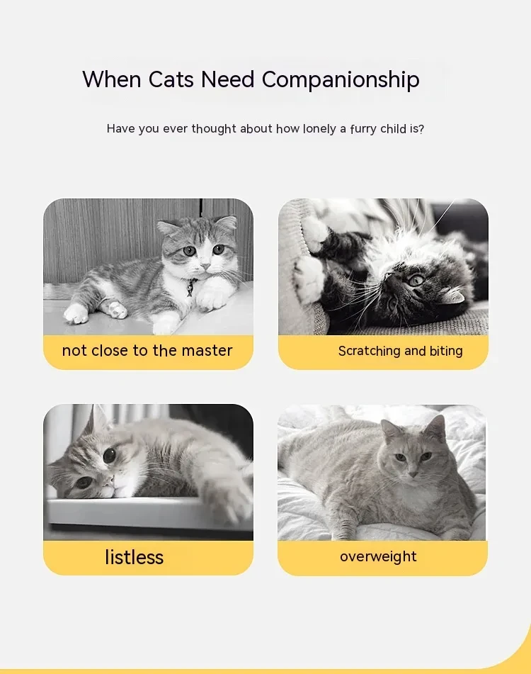 Folded Cat Tunnel S Type Cats Tunnel Spring Toy