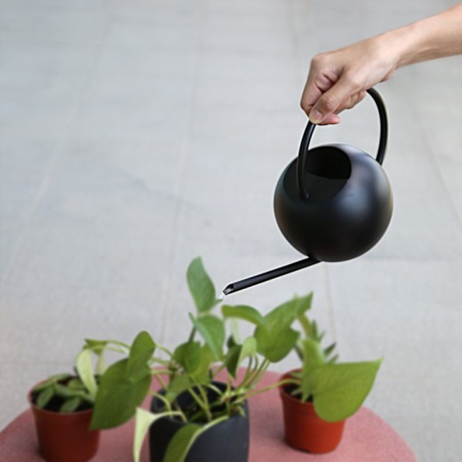 Long Nozzle Watering Can Stainless Steel Watering Pot Handle Metal Household Indoor