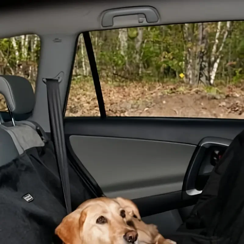Car Back Seat Dog Mat Waterproof & Durable Pet Protector