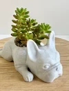 French Bulldog Planter-French Bulldog Gifts