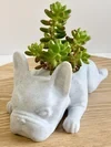 French Bulldog Planter-French Bulldog Gifts