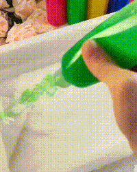 Magic Water ELF+ Free Shipping