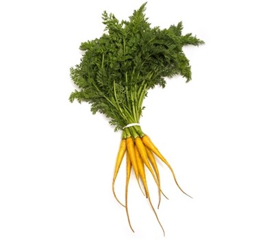 BABY CARROTS (YELLOW) (PER KG) - [PRODUCE]