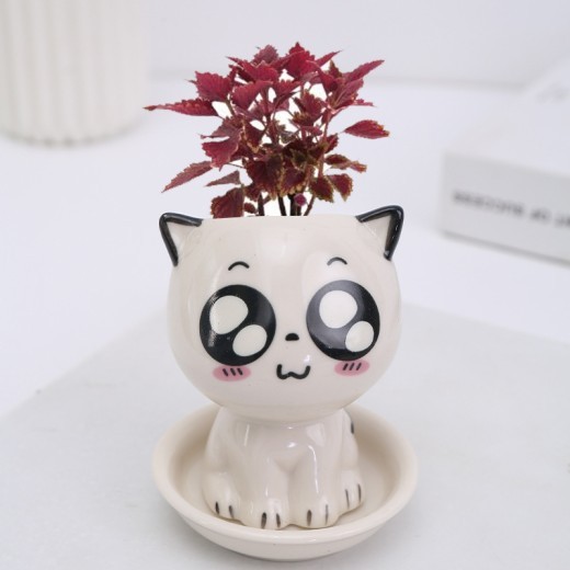 White Ceramic Cartoon Cat Cute Expression Cat Decoration