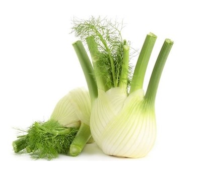 FENNEL BULB (PER KG) - [PRODUCE]