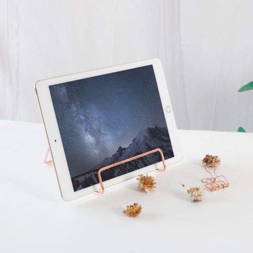 Nordic Ins Simple Creative Plate Book Record Booth Album Ipad Bracket Light Luxury Display Rack