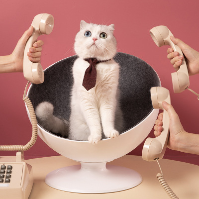 Swivel Cat