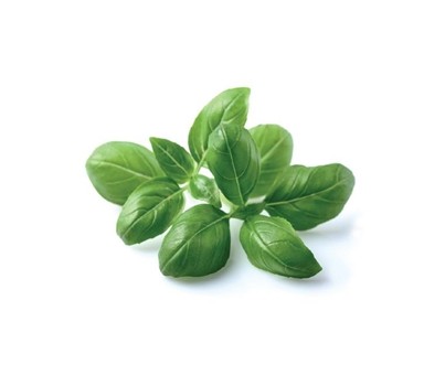 HERB BASIL (PER KG) - [PRODUCE]