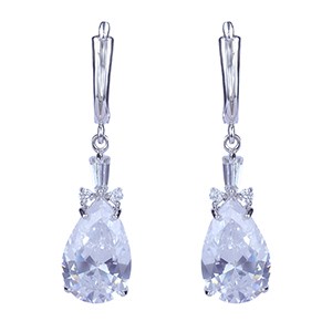 Ladies Fashion Earrings