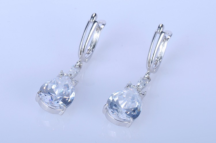 Ladies Fashion Earrings