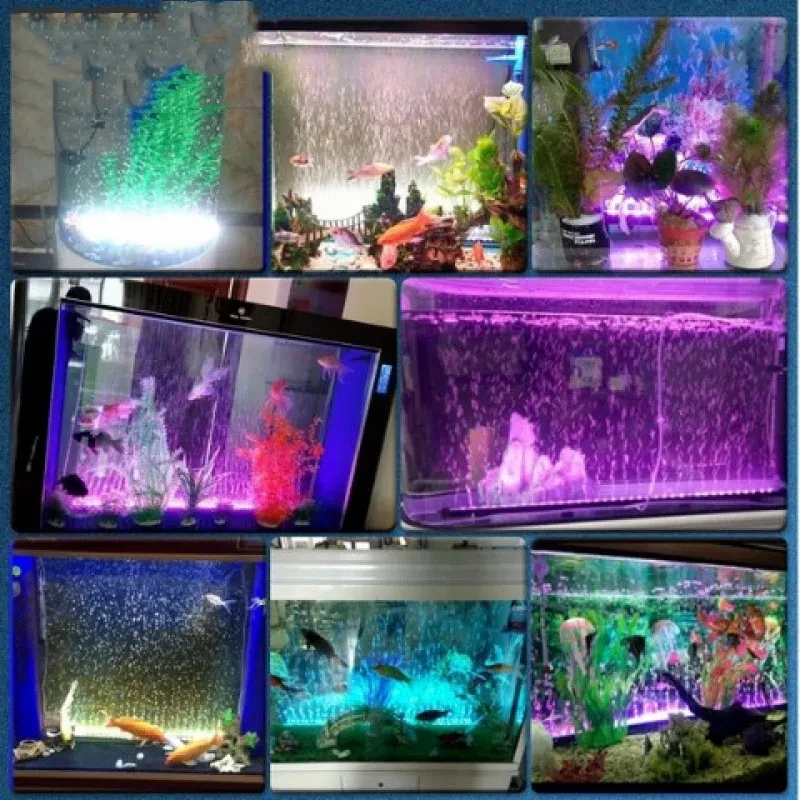 Fish Tank Aquarium Goldfish Parrot Lamp