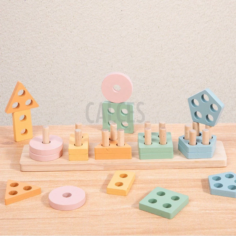 Matching Shape Geometry Toys
