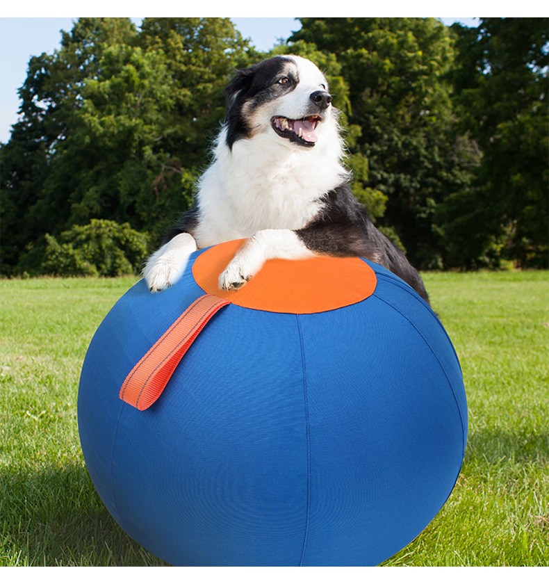 Original Herding Ball