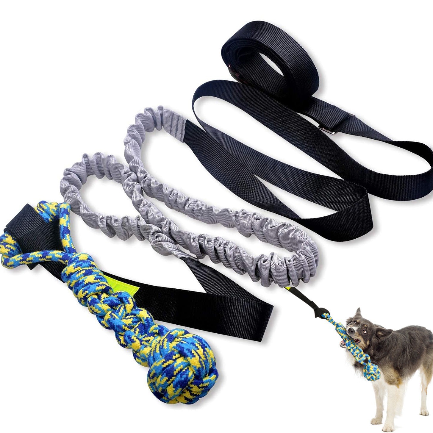 Bungee Tug Toy