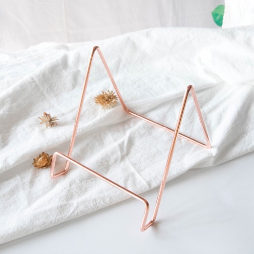 Nordic Ins Simple Creative Plate Book Record Booth Album Ipad Bracket Light Luxury Display Rack