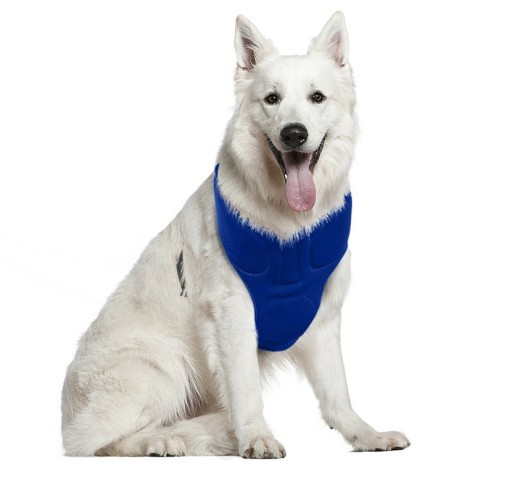 Pet heatstroke cooling collar