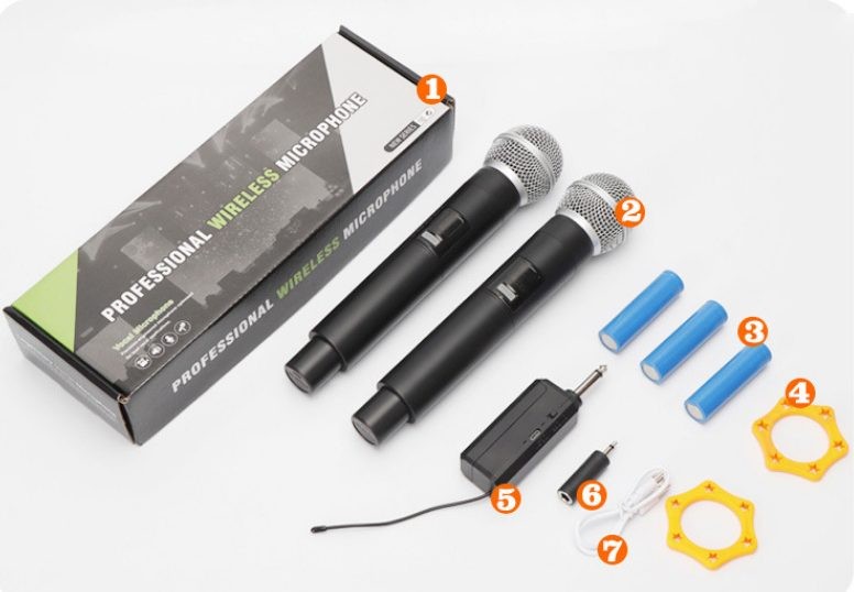 Wireless Microphones x 2 Rechargeable Receiver and Battery, 100 ft Range Karaoke