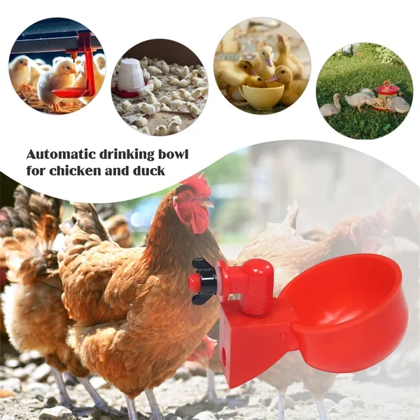 Chicken Poultry automatic waterer