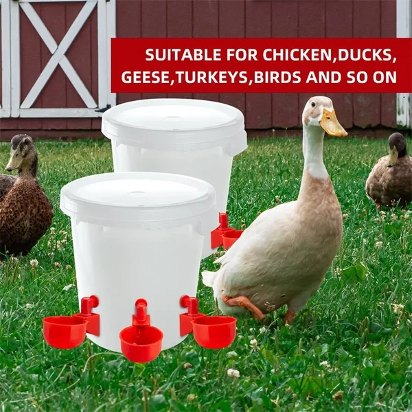 Chicken Poultry automatic waterer