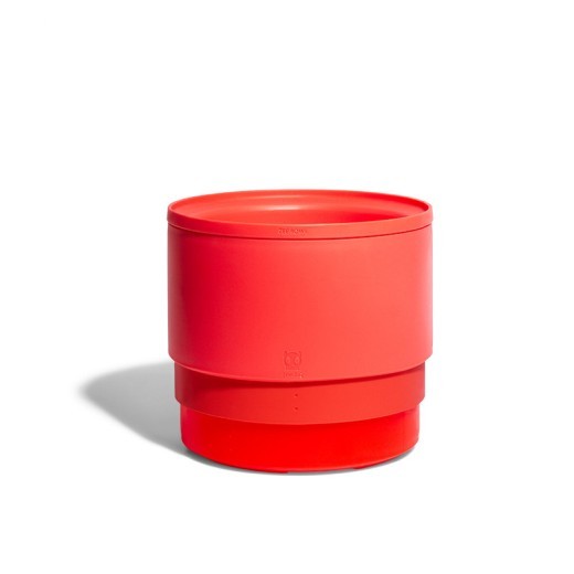 Cat food dog food pet household cat bowl