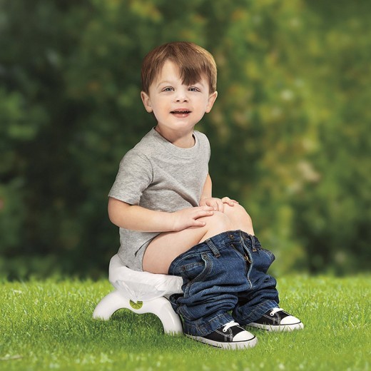 2 in 1 children's portable toilet seat