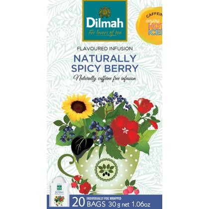 Tea Fruit Berry Spice Foil Envelope - Dry Store
