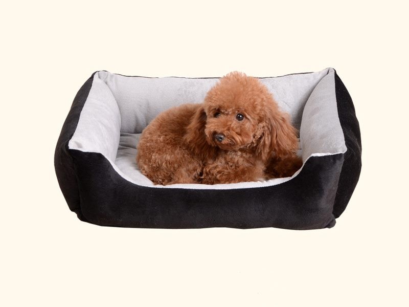 XXS (45X31X15CM) Soft Fleece Fabric Pet Bed Bone Beige