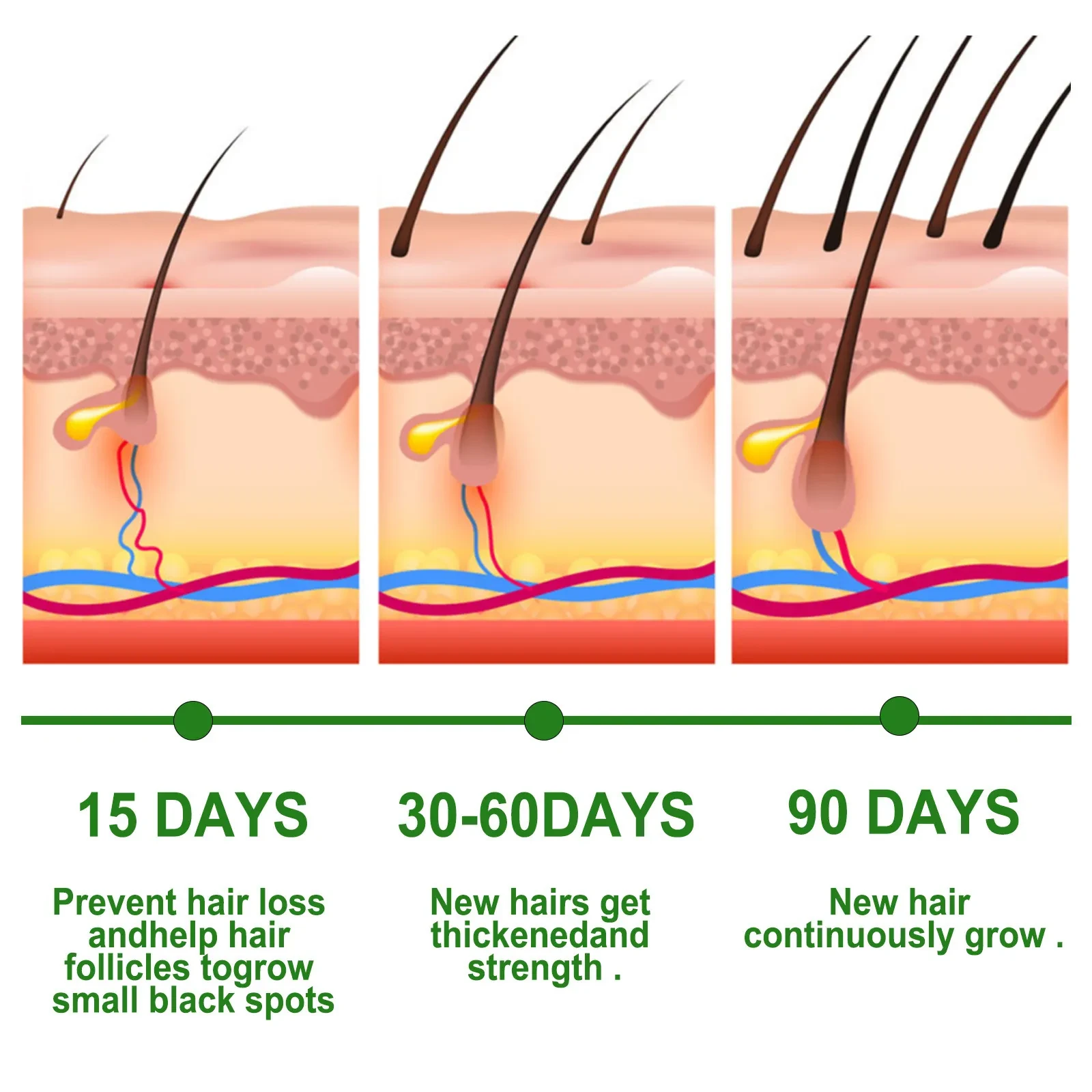 Rosemary Hair Care Essential Oil Anti-loss
