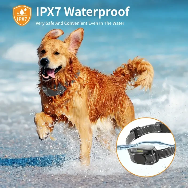Dog Training Collar with Remote