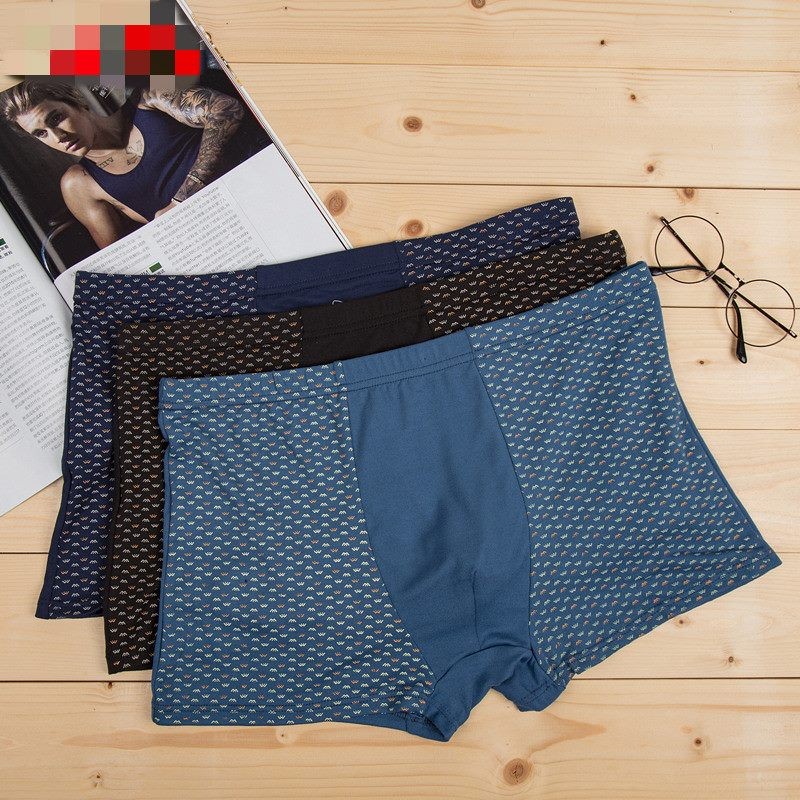 4* Boxer Underwear