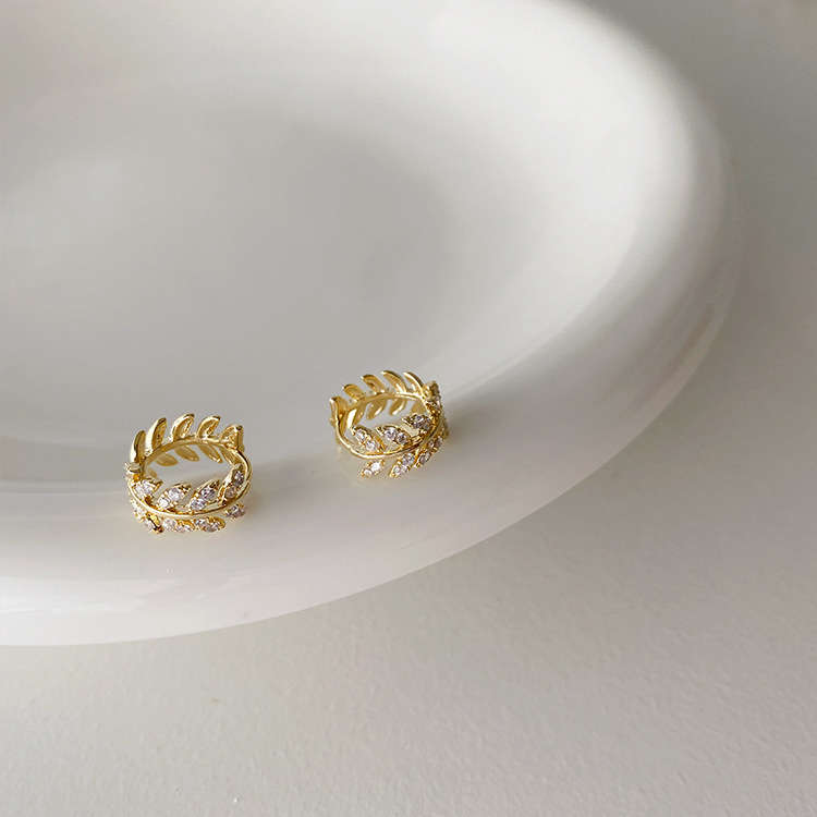 Temperament fashion zircon leaves earrings earrings earrings cool wind
