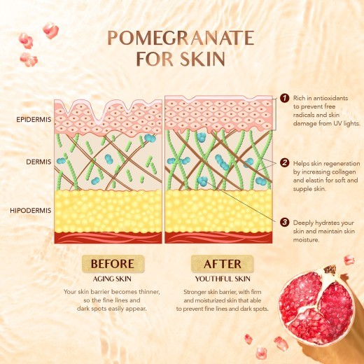 Y.O.U Sunscreen Skin Care Whitening Moisturizing Cream