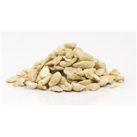 Cashew Nuts Pieces