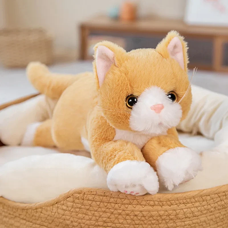 Cartoon Kitty Doll Plush Toys