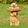 Outdoor Sculpture Bird Feeders