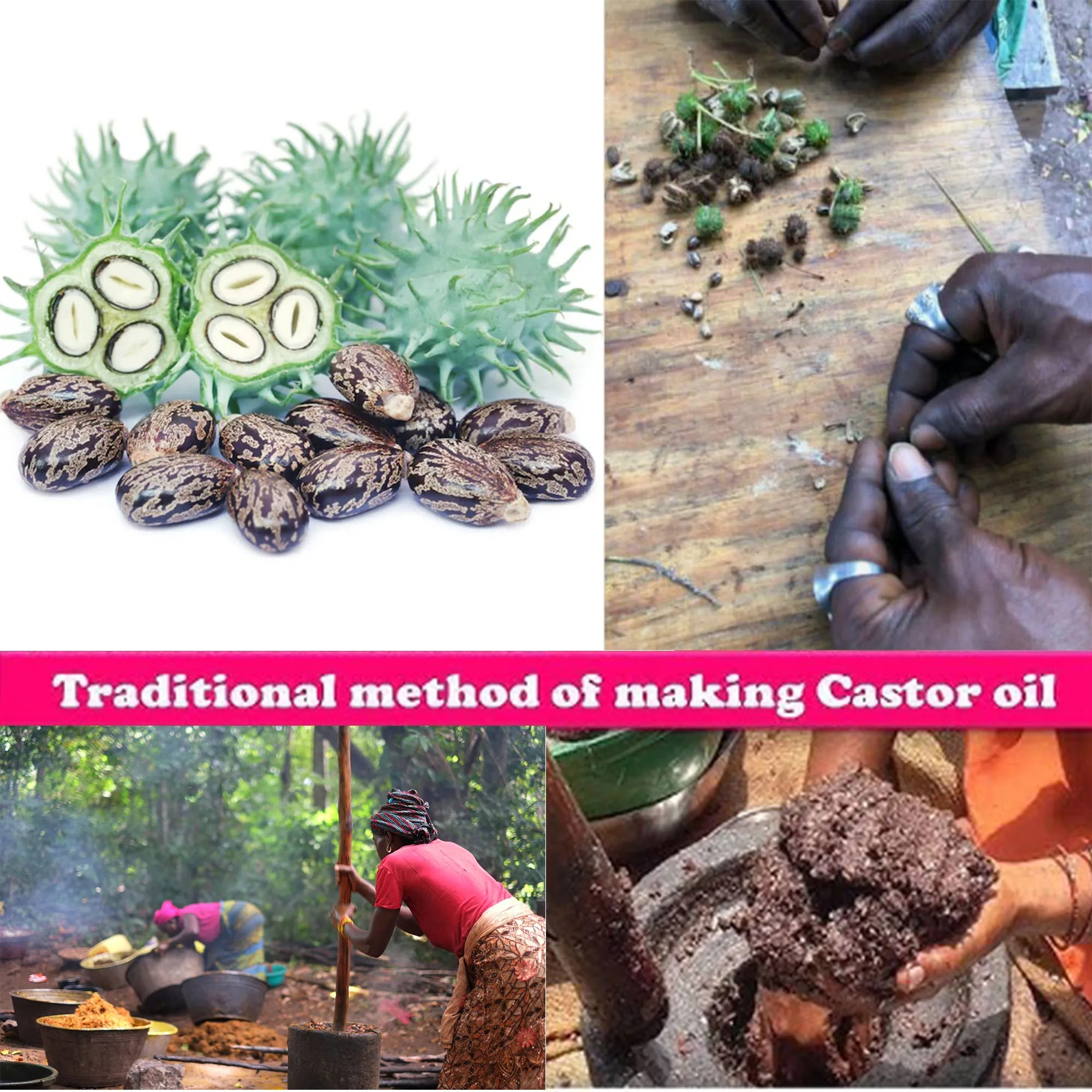 Artisanal Traditional Powerful Hair Nourishing Oil Promoting Long, Natural Hair Growth