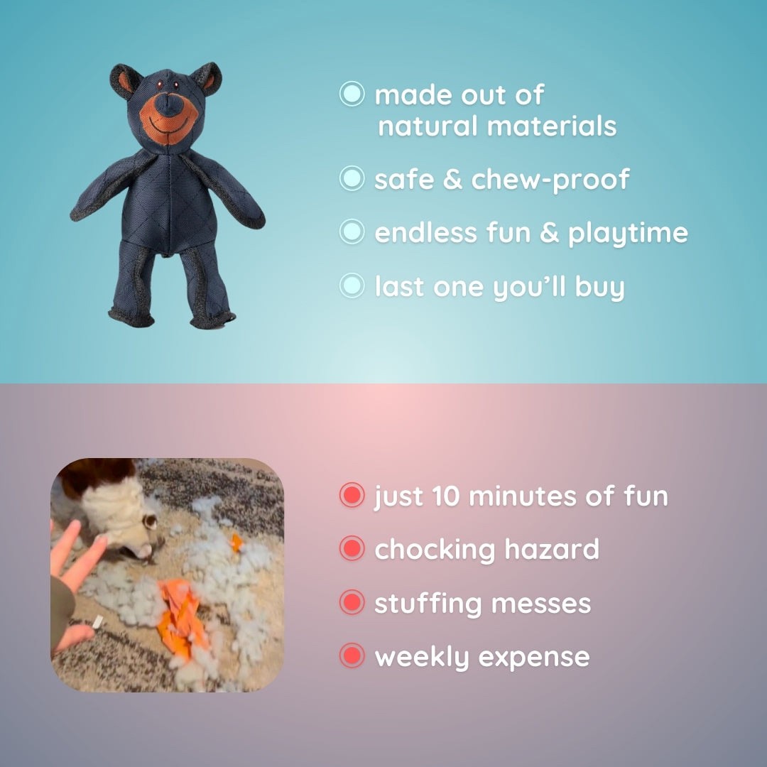 Indestructible Bear Dog Toy