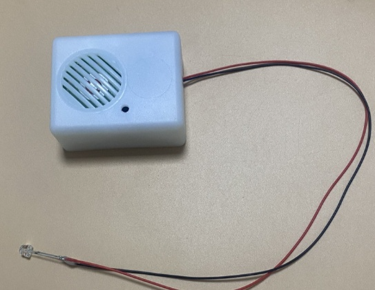 Halloween Ghost Name Sound Emitting Box