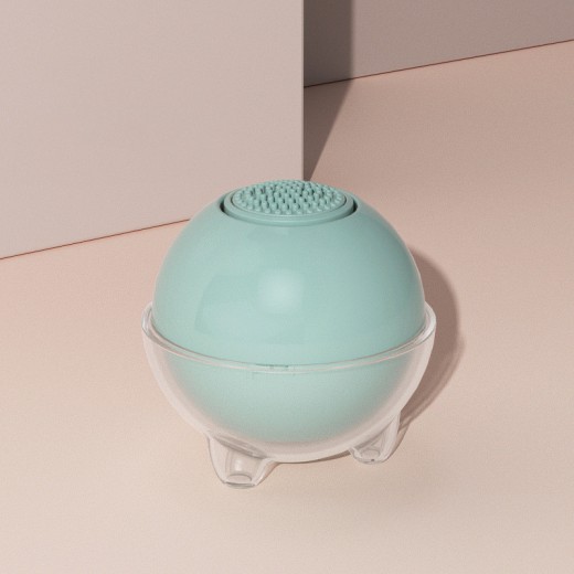 Pet Hair Removal Cleaning Brush