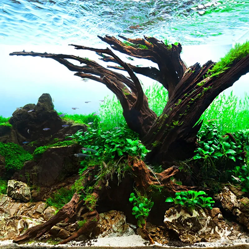 Fish tank landscaping sink wood water