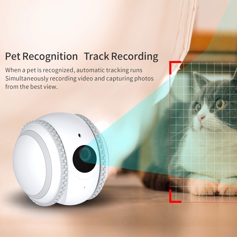 Pet Companion Robot Cat Monitoring